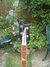 Dec 1973 Rickenbacker 4001/4 , Jetglo: Headstock