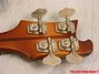Rickenbacker 4001/4 , Autumnglo: Headstock - Rear