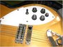Rickenbacker 330/12 , Natural: Close up - Free2