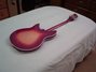 Rickenbacker 360/6 WB, Fireglo: Full Instrument - Rear