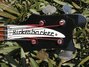 Rickenbacker 4001/4 , Jetglo: Headstock