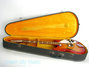 Rickenbacker 360/6 , Fireglo: Free image