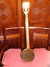 Rickenbacker A22/6 LapSteel, Custom: Full Instrument - Rear