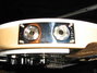Rickenbacker 360/12 , Mapleglo: Close up - Free