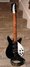 Rickenbacker 350/6 V63, Jetglo: Full Instrument - Front