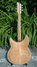 Rickenbacker 381/6 V69, Mapleglo: Full Instrument - Rear