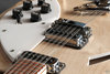 Rickenbacker 360/12 , Mapleglo: Free image