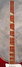 Rickenbacker 4003/4 , Burgundy: Neck - Front