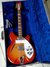 Rickenbacker 366/12 Mod, Fireglo: Close up - Free2