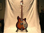 Rickenbacker 360/6 , Fireglo: Full Instrument - Front