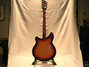 Rickenbacker 360/6 , Fireglo: Full Instrument - Rear