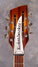 Rickenbacker 360/12 WB VP, Walnut: Headstock