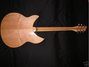 Rickenbacker 330/6 , Mapleglo: Full Instrument - Rear