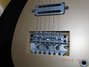 Rickenbacker 450/6 Combo, Black: Close up - Free