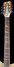 Rickenbacker 360/12 WB, Mapleglo: Neck - Front
