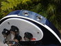 Rickenbacker 4003/4 , Midnightblue: Free image2