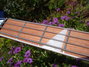 Rickenbacker 4003/4 , Midnightblue: Neck - Front
