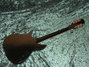 Rickenbacker 355/12 JL, Jetglo: Full Instrument - Rear