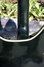 Rickenbacker 360/6 , Jetglo: Free image2