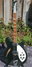 Rickenbacker 360/6 , Jetglo: Full Instrument - Front