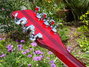 Rickenbacker 360/12 VP, Burgundy: Headstock - Rear