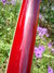 Rickenbacker 360/12 VP, Burgundy: Neck - Rear