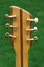 Rickenbacker 700/6 PW Build (acoustic), Mapleglo: Headstock - Rear