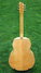 Rickenbacker 700/6 PW Build (acoustic), Mapleglo: Full Instrument - Rear