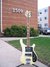 Rickenbacker 4001/4 BT, White: Full Instrument - Front