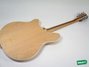 Rickenbacker 370/12 RM, Mapleglo: Full Instrument - Rear