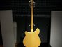 Rickenbacker 370/6 , Mapleglo: Full Instrument - Rear