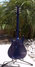 Rickenbacker 350/6 V63, Midnightblue: Full Instrument - Rear
