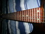 Rickenbacker 430/6 , Brown: Neck - Front