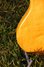 Rickenbacker 4001/4 , Azureglo: Free image