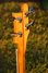 Rickenbacker 4001/4 , Azureglo: Headstock - Rear