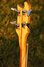 Rickenbacker 4001/4 , Azureglo: Neck - Rear