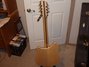 Rickenbacker 360/12 , Mapleglo: Full Instrument - Rear