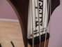 Rickenbacker 4001/4 , Walnut: Close up - Free