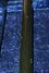 Rickenbacker 365/6 , Jetglo: Neck - Rear