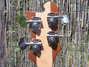 Rickenbacker 4003/4 , Mapleglo: Headstock - Rear