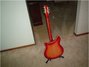 Rickenbacker 360/6 , Fireglo: Full Instrument - Rear