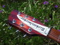 Rickenbacker 330/6 , Fireglo: Headstock