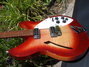 Rickenbacker 330/6 , Fireglo: Body - Front