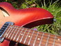 Rickenbacker 330/6 , Fireglo: Neck - Front