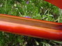 Rickenbacker 330/6 , Fireglo: Neck - Rear