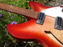 Rickenbacker 330/6 , Fireglo: Close up - Free2