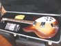Rickenbacker 360/6 , MonteBrown: Full Instrument - Front