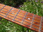 Rickenbacker 330/6 , Jetglo: Neck - Front