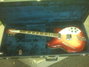 Rickenbacker 360/12 , Fireglo: Full Instrument - Front