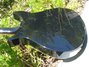 Sep 2009 Rickenbacker 325/6 C58, Jetglo: Body - Rear